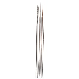 A New Guinean bow and six spears