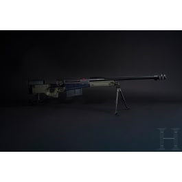 A repeating rifle Accuracy International, with Schmidt & Bender scope
