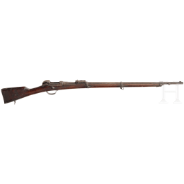 Gewehr Werder M 1869 Amberg, alte Art, aptiert