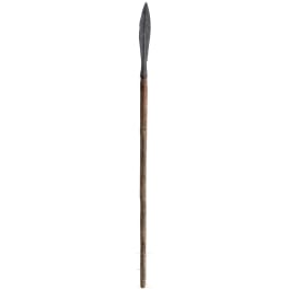 A German iron spear, 16th century