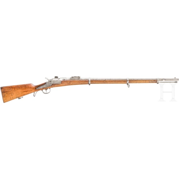 Infanterie- und J&auml;gergewehr M 1873