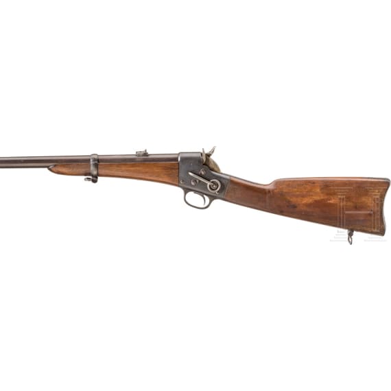 Karabiner Remington-Rider, US