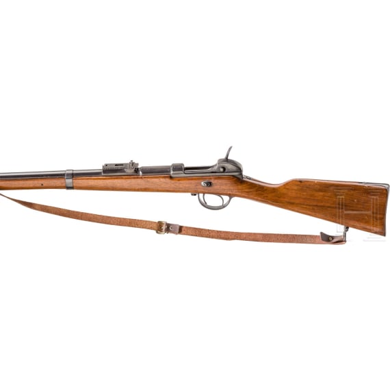 Gewehr Werder M 1869, OEWG, aptiert