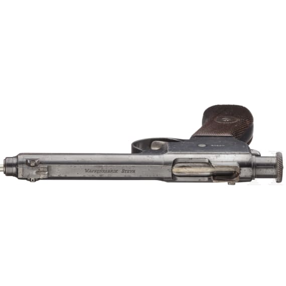 A Roth-Steyr M 1907-II