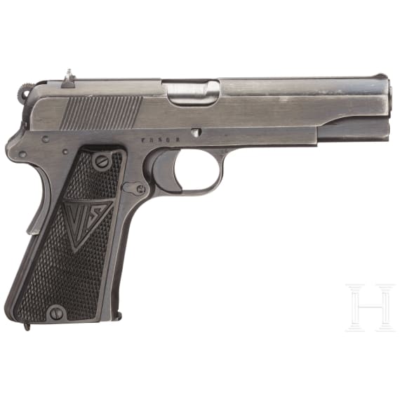 A VIS Radom with holster