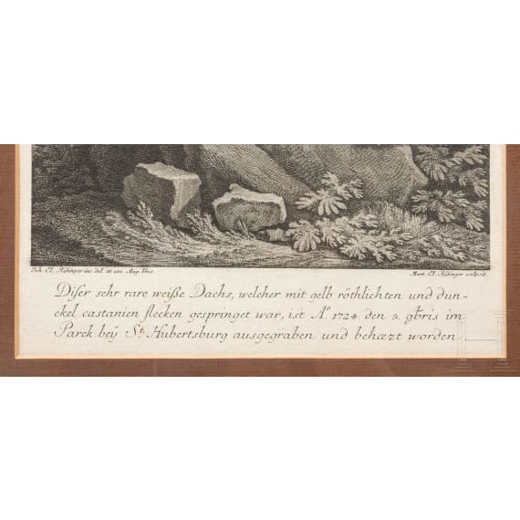 Johann Elias Ridinger, four framed copper engravings showing wild animals, Augsburg, ca. 1760