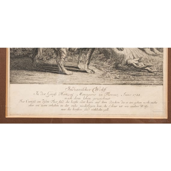 Johann Elias Ridinger, four framed copper engravings showing wild animals, Augsburg, ca. 1760