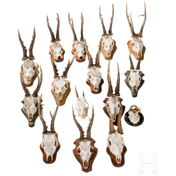 15 German/Austrian/Swedish deer antlers, 20th century