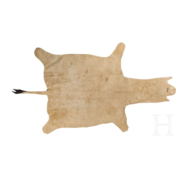 A South African zebra skin, 20th century