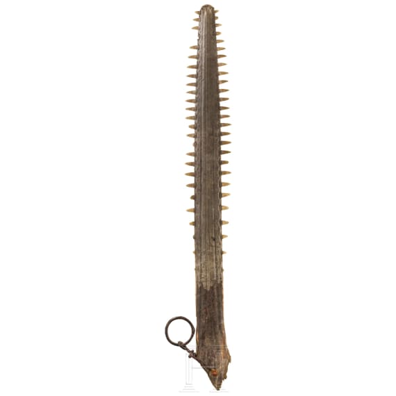 A rostrum of a sawfish, circa 1800