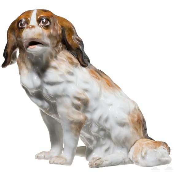 A porcelain sculpture of a Bolognese dog "Augustus Rex", Dresden, probably 19th century