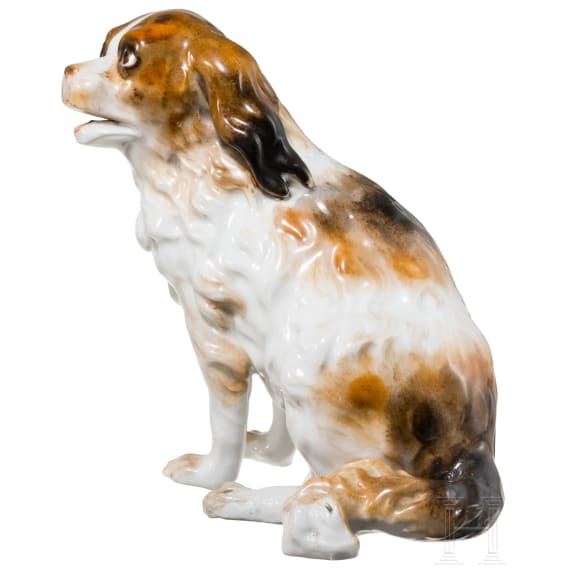 A porcelain sculpture of a Bolognese dog "Augustus Rex", Dresden, probably 19th century