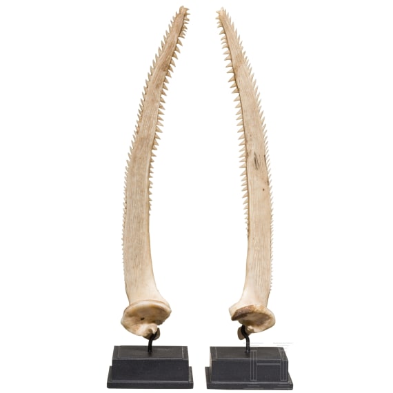 A pair of remarkable tiny "Kunstkammer" rostrums mounted on iron stands, circa 1900