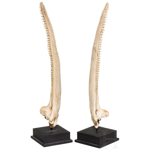 A pair of remarkable tiny "Kunstkammer" rostrums mounted on iron stands, circa 1900