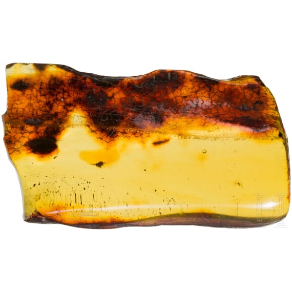 A large amber with inclusions