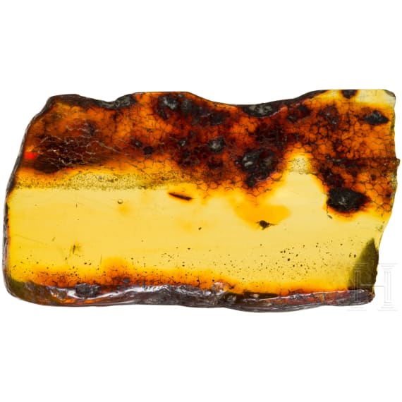 A large amber with inclusions