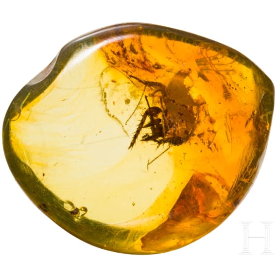 A bicolor amber with inclusions