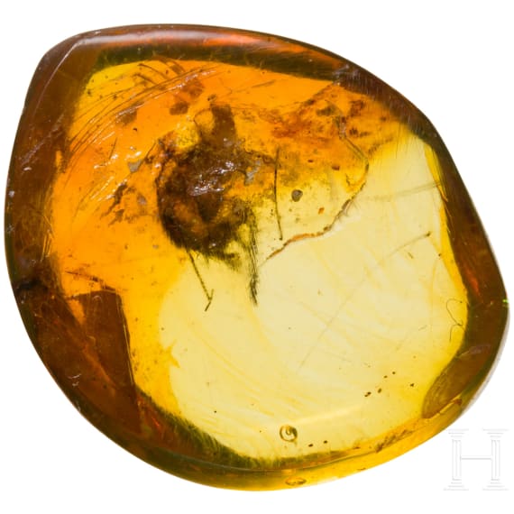 A bicolor amber with inclusions
