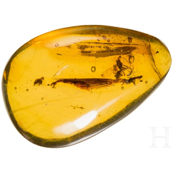A small amber with inclusions