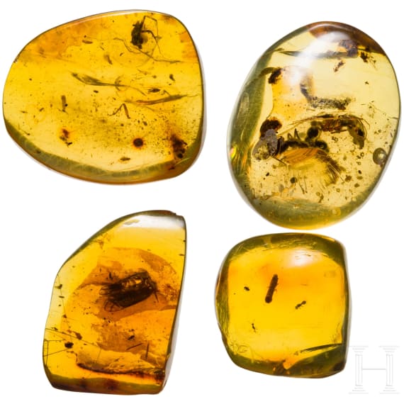 Four amber stones with inclusions