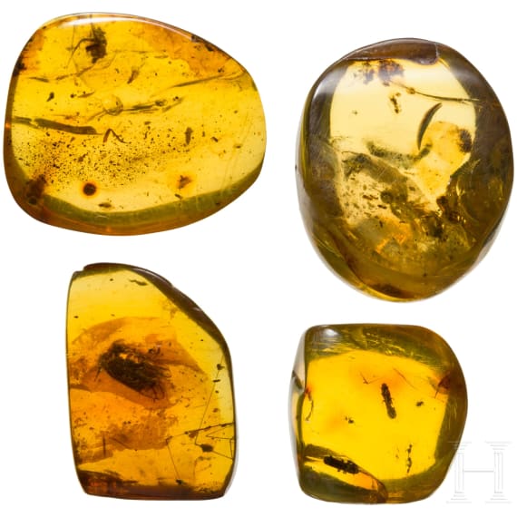 Four amber stones with inclusions