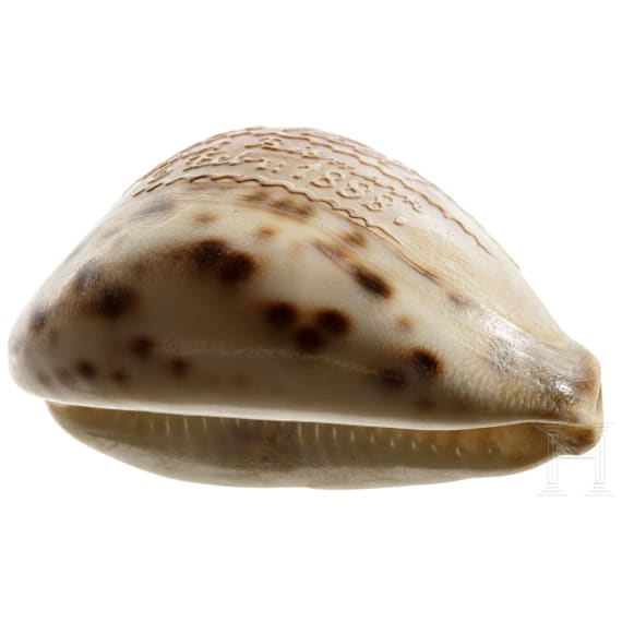 Beschnitzte Tigerschnecke (Cypraea tigris), deutsch, 19. Jhdt.
