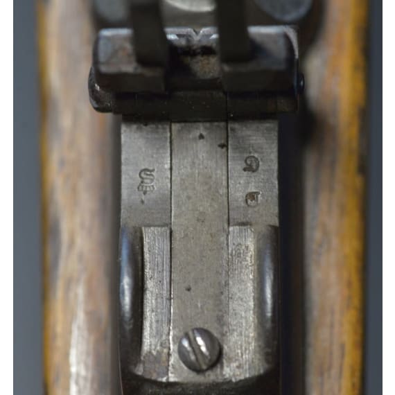 Karabiner M 1871, OEWG