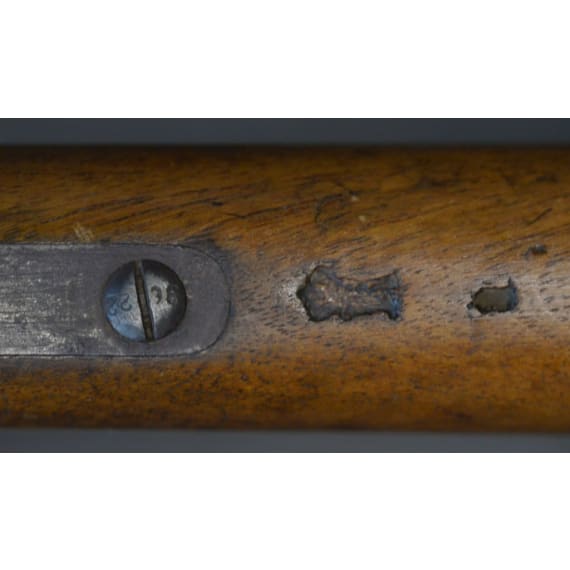 Karabiner M 1871, OEWG