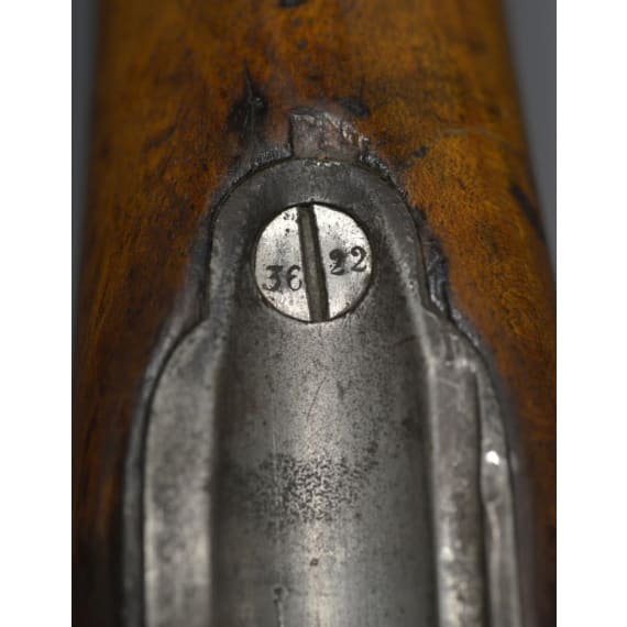 Karabiner M 1871, OEWG