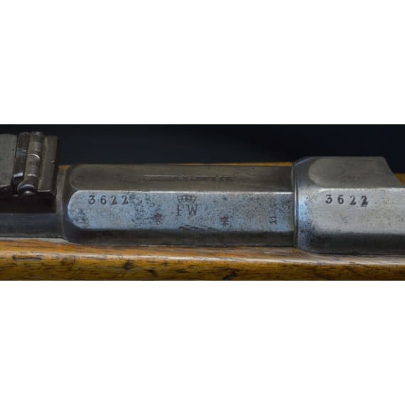 Karabiner M 1871, OEWG