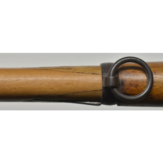 Karabiner M 1871, OEWG