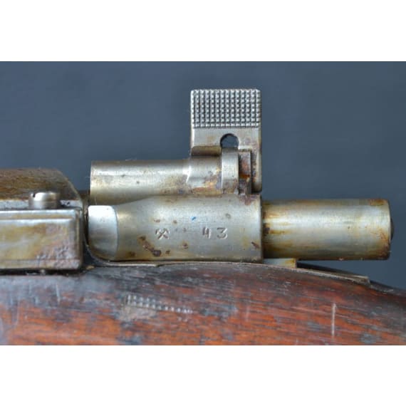 Chile - Kavalleriekarabiner Mod. 1895, Loewe
