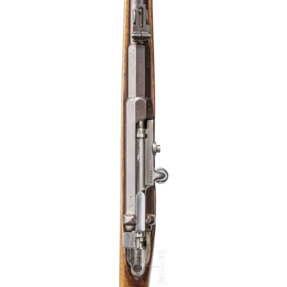 Karabiner M 1871, OEWG