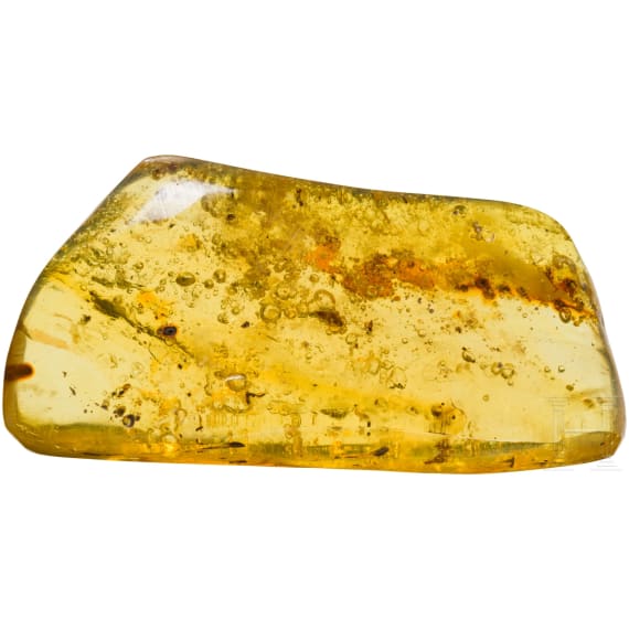 Gro&szlig;es Bernsteinst&uuml;ck mit Inklusen