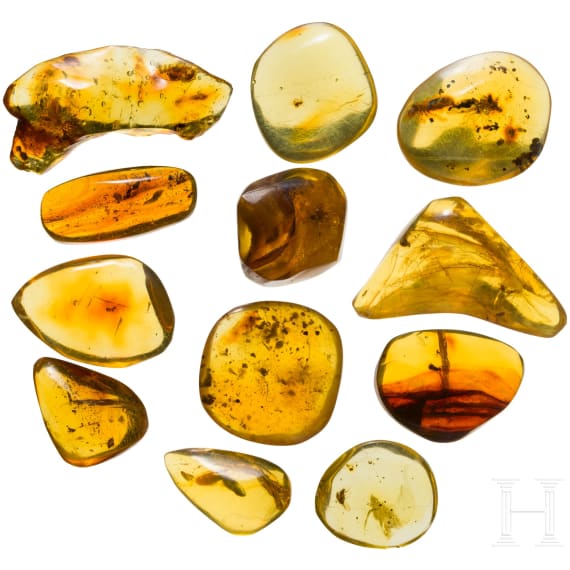 Zw&ouml;lf Bernsteine mit Inklusen