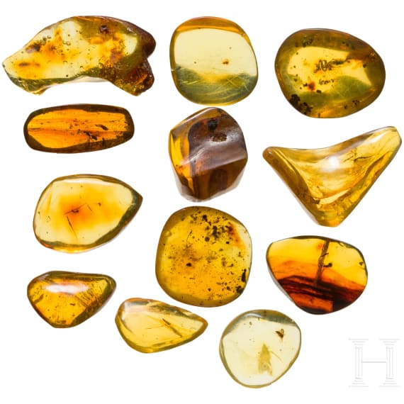 Zw&ouml;lf Bernsteine mit Inklusen