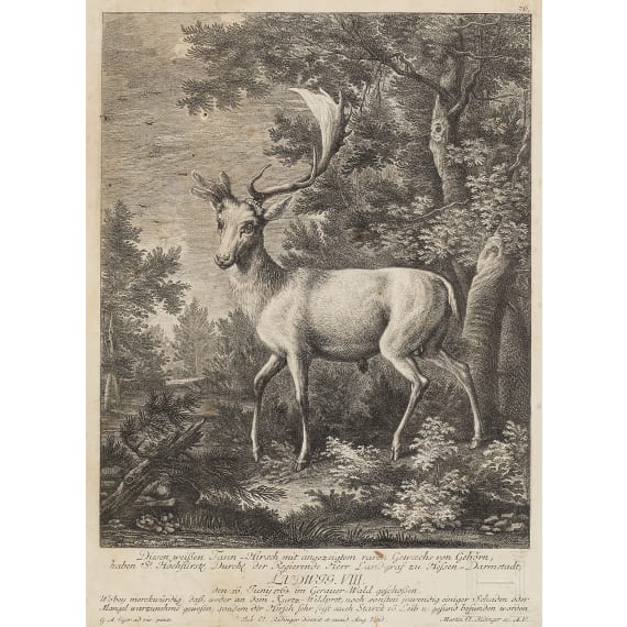 Vier jagdliche Stiche, Johann Elias Ridinger, Augsburg, um 1760