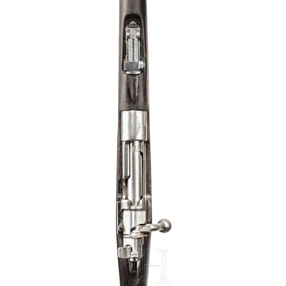 A carbine Mod. 1909, D.G.F.M.
