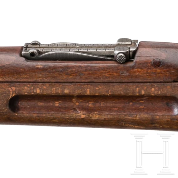 Kurzgewehr Mod. Wz 29