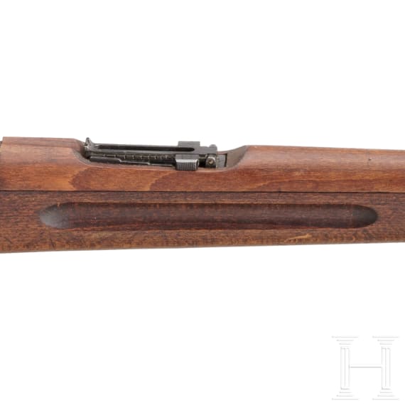 Gewehr M 96, Carl Gustaf 1919