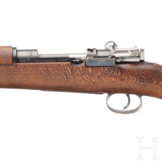 Gewehr M 96, Carl Gustaf 1919