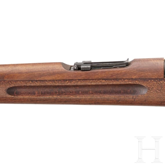Gewehr M 96, Carl Gustaf 1919