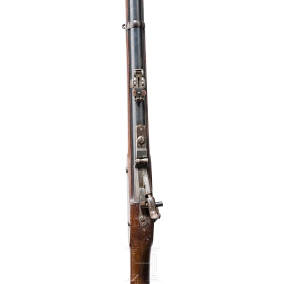 Kurzgewehr Mod. 1859/67 Trapdoor, 1866