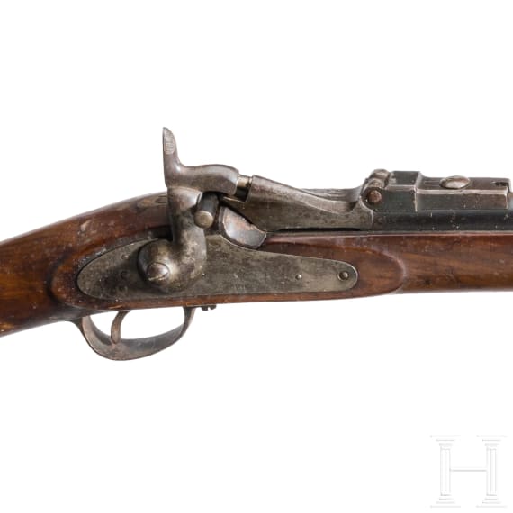 Kurzgewehr Mod. 1859/67 Trapdoor, 1866