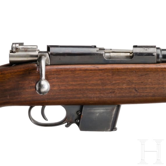 Karabiner Mod. 1921 - Destroyer