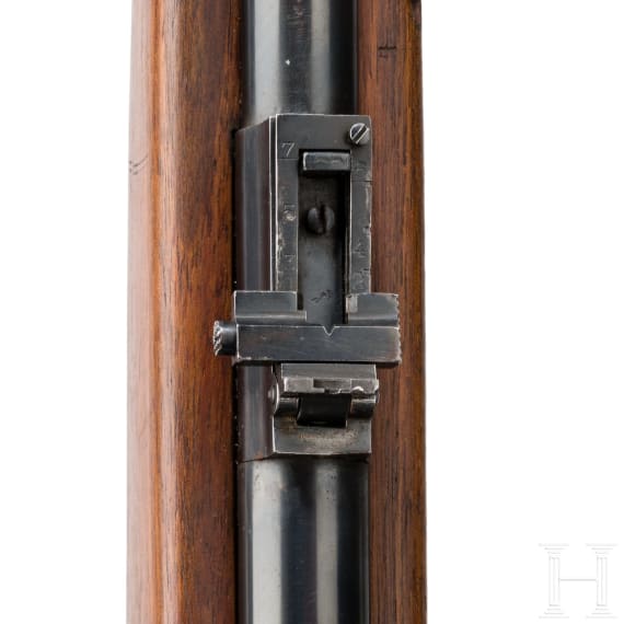 Karabiner Mod. 1921 - Destroyer