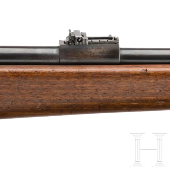 Karabiner Mod. 1921 - Destroyer