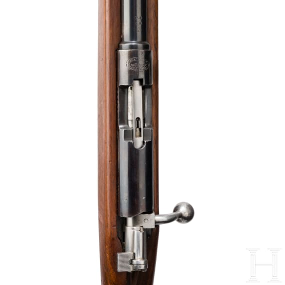 Karabiner Mod. 1921 - Destroyer