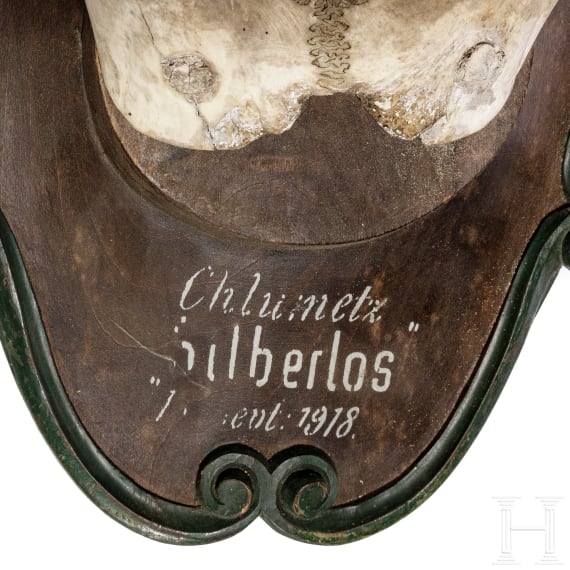 Abnormes Hirschgeweih, Tschechien, datiert 1918