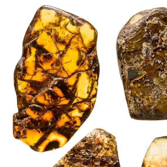 Six pieces of native amber